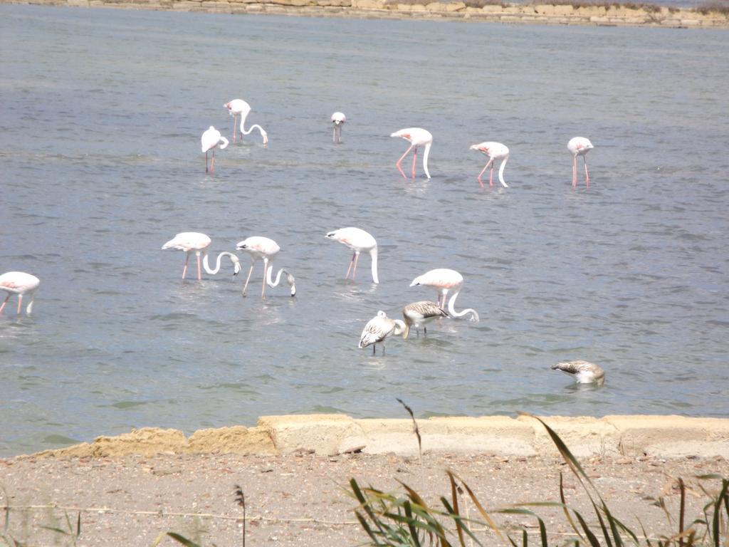 Case Vacanza Torre Lupa Marsala Rom bilde